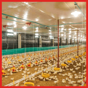 Kit solaire hangar poulet