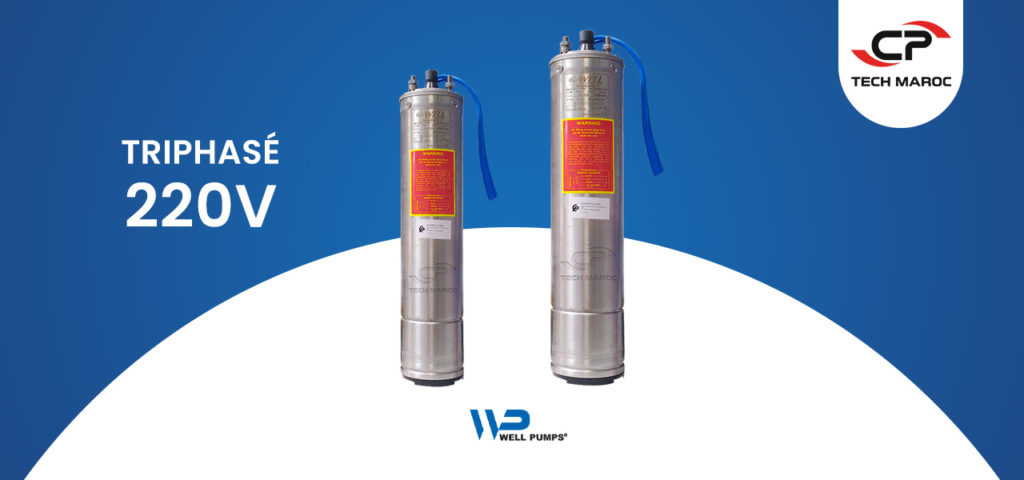 Moteur immergée Triphasé 220V Moteur immergée Triphasé 220V