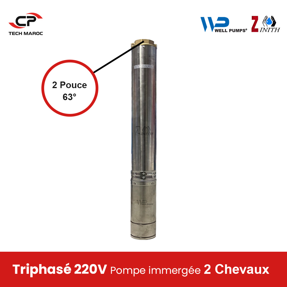 Pompe immergée WELL/ZINITH 4SD10/10 – Triphasé 220V- 2chevaux- Diamètre 63°- HMT Max: 62