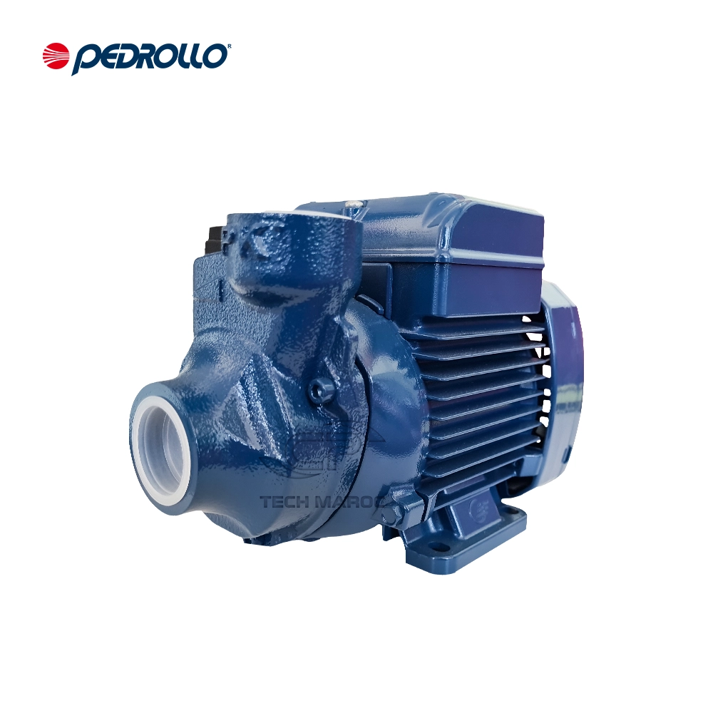 Electropompe PERDROLLO PK 60 – Triphasé 380V- 0.5chevaux- HMT Max: 38